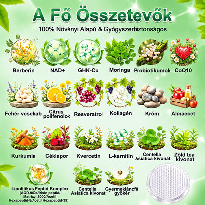 GeeLemon® Berberin + Moringa nano-mikrotűs tapasz – Testsúlykontroll és bőrápolás