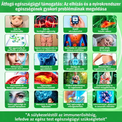 GeeLemon® Berberin + Moringa nano-mikrotűs tapasz – Testsúlykontroll és bőrápolás